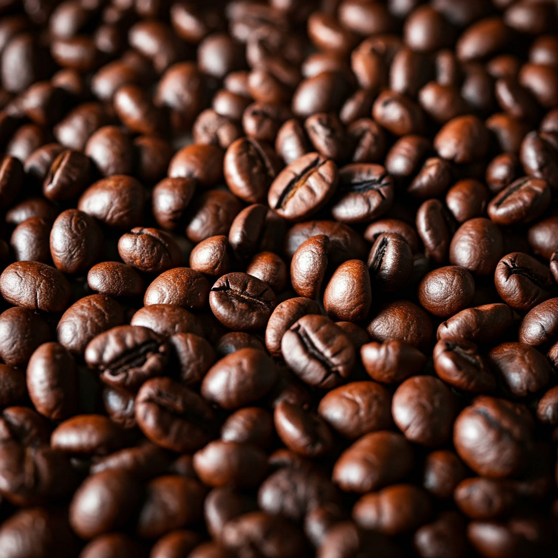 Grind Size Matters: Fresh vs. Pre-Ground Coffee